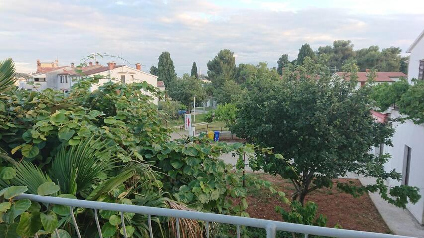 Near Beach - Apartments Marica Ρόβινι Εξωτερικό φωτογραφία